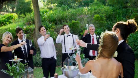 guests, bride and groom toasting champagne flutes 4k 4k