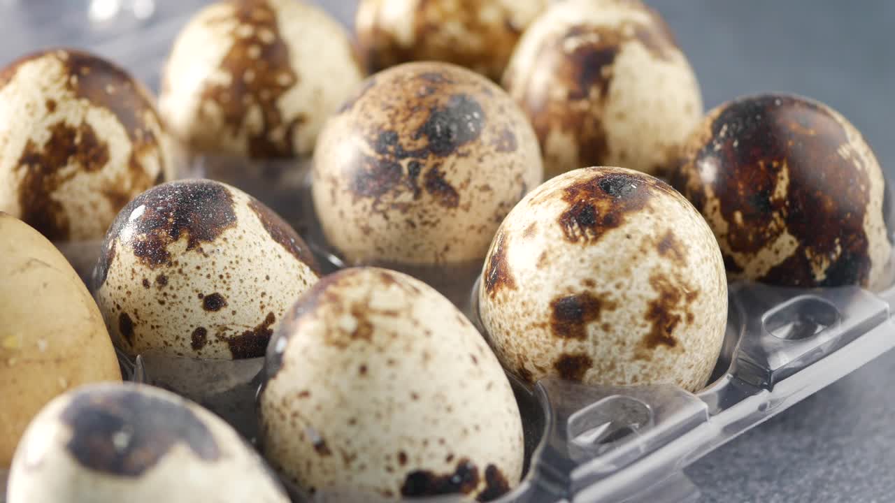 Quail eggs close-up
