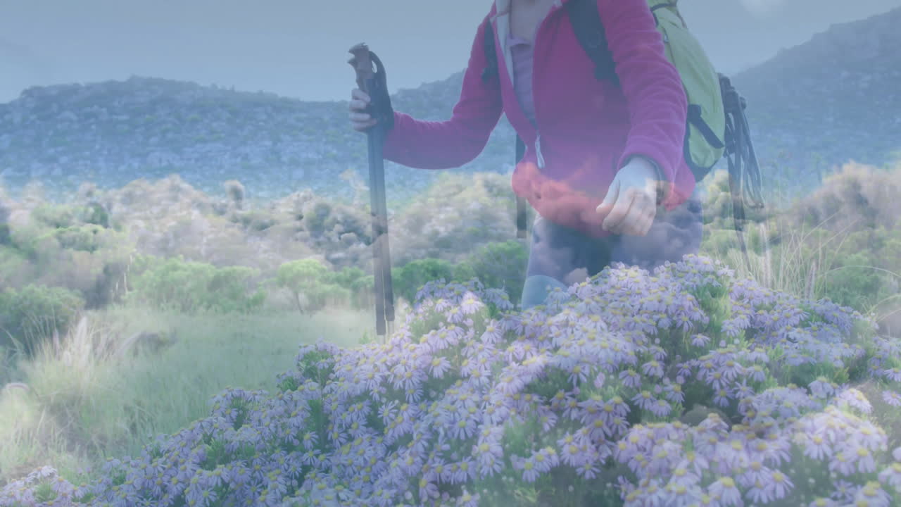 Hiker woman trekking meadow using poles and backpack showing animated travel stats with daisy icons