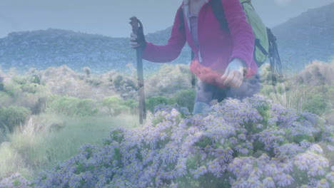 hiker woman trekking meadow using poles and backpack showing animated travel stats with daisy icons