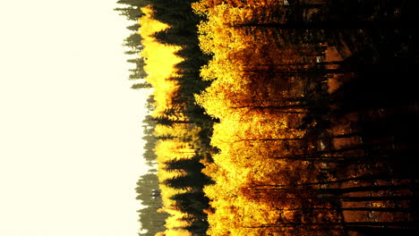 formato vertical del paisaje de bosque de montaña brumoso por la mañana