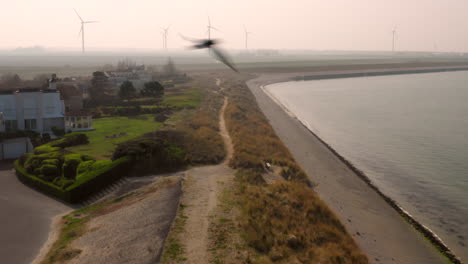 aéreo: puerto y parque de vacaciones durante el brumoso día de primavera