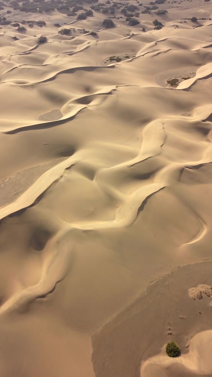 Dune di sabbia sinuose e creste di Maspalomas sull'isola di Gran Canaria, Spagna. Verticale, ripresa con drone.