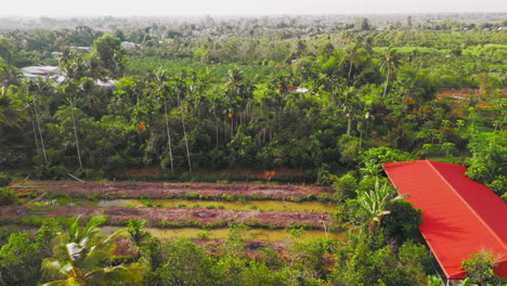 Immerse-yourself-in-the-breathtaking-beauty-of-the-Asian-countryside-as-the-sun-paints-the-sky-with-vibrant-hues