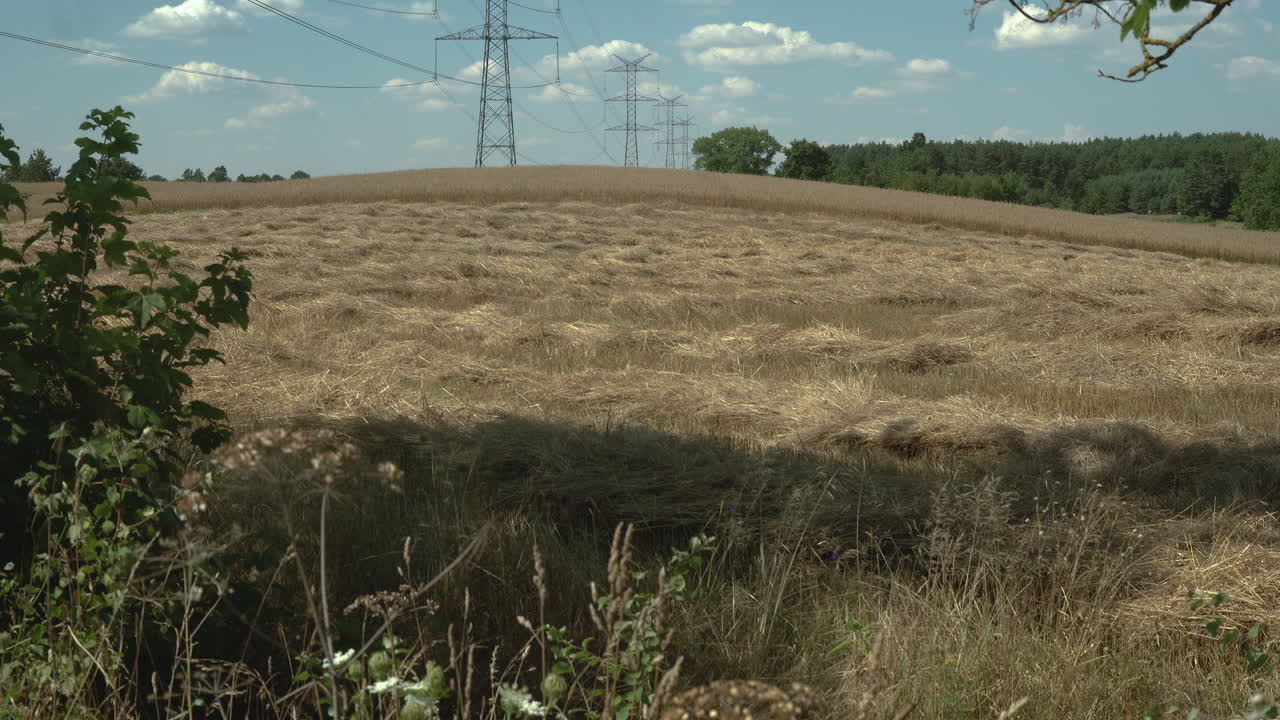 Distant View Of Transmission Towers On The Rural Field In Poland On A Sunny Day - low angle wide shot