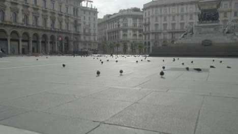 Palomas-Marchando-Cerca-De-La-Plaza-Del-Duomo-Durante-El-Cierre-De-Covid