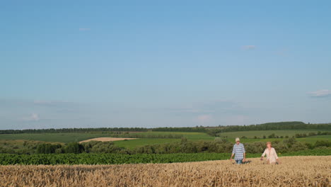 a couple of farmers walk through the picturesque countryside along a wheat field.