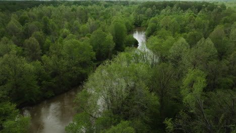 Exuberante-Bosque-Verde-Que-Rodea-El-Sinuoso-Río-En-William-B.