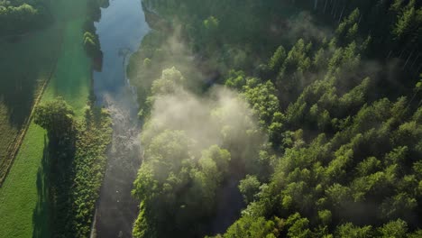 aerial view of forest and river with mist
