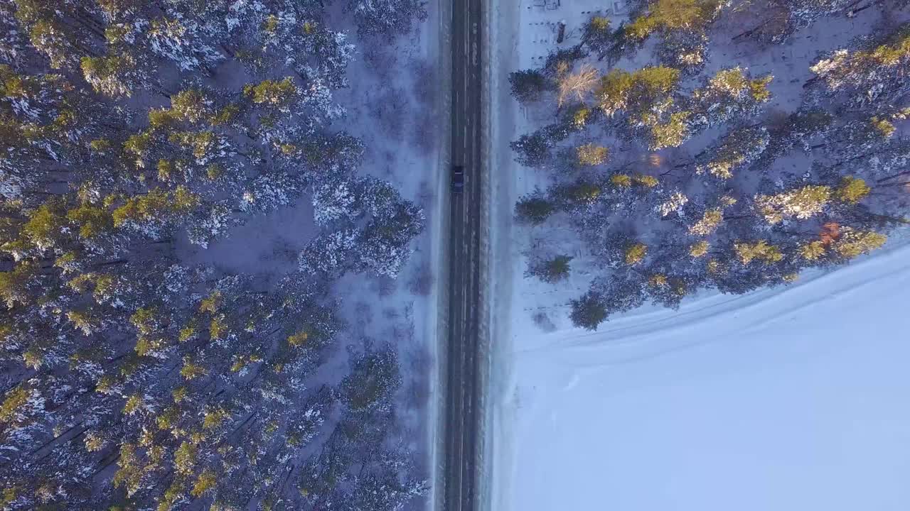 숲을 가로질러 눈 인 길