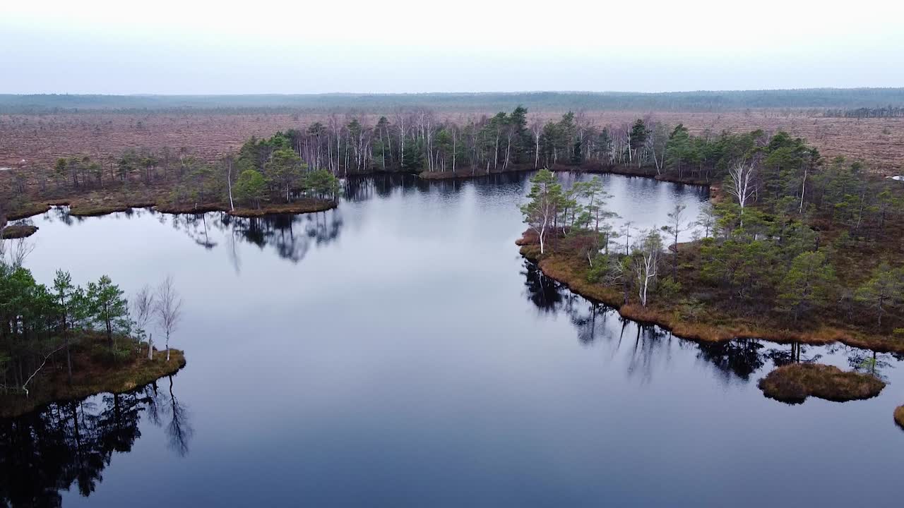 vista aérea de pájaro de la turbera de dunika con pequeños estanques en un día de otoño nublado, disparo de drone ascendente de gran angular