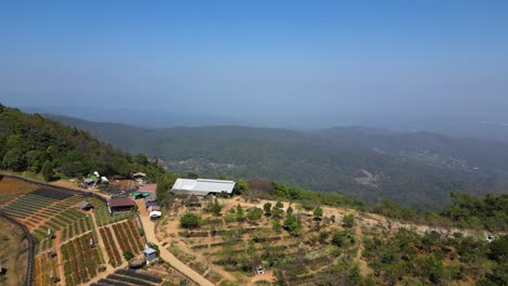 Drone-flying-over-hill-at-Mon-Jam-near-Chiang-Mai,-Thailand-with-flowers