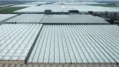 drone reveals an illuminated large commercial greenhouse on the dutch landscape