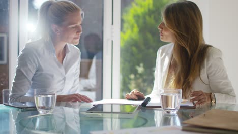 female businesswomen in office at work