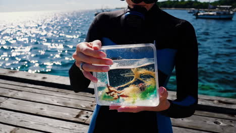 woman scuba diver examining marine life specimen