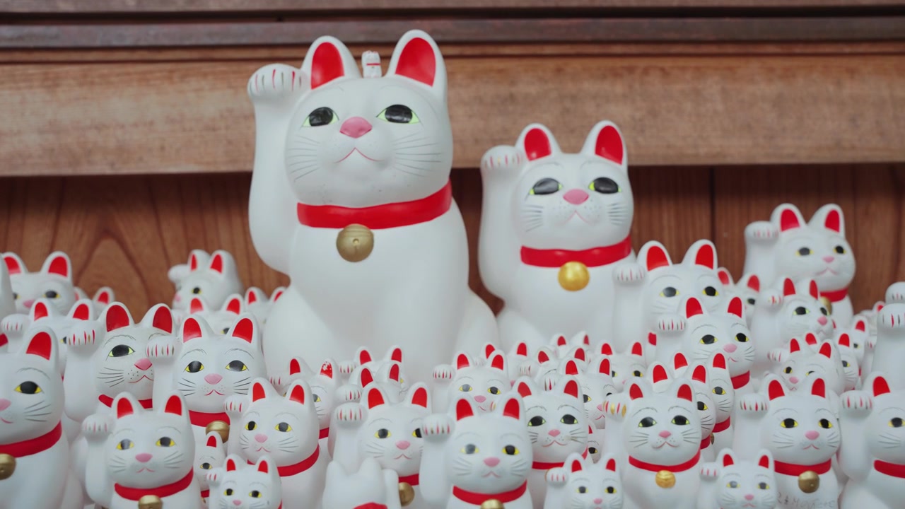 Lähikuva video sadoista ikonisista ja söpöistä Maneki Neko -onnenkissapatsaista Gotokuji-temppelissä Tokiossa, esittäen onnen, vaurauden ja perinteisen japanilaisen kulttuurin symboleja