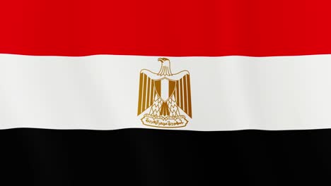 waving flag loop. national flag of egypt