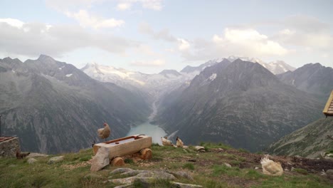 a little farm in front of a beautiful mountain scenery