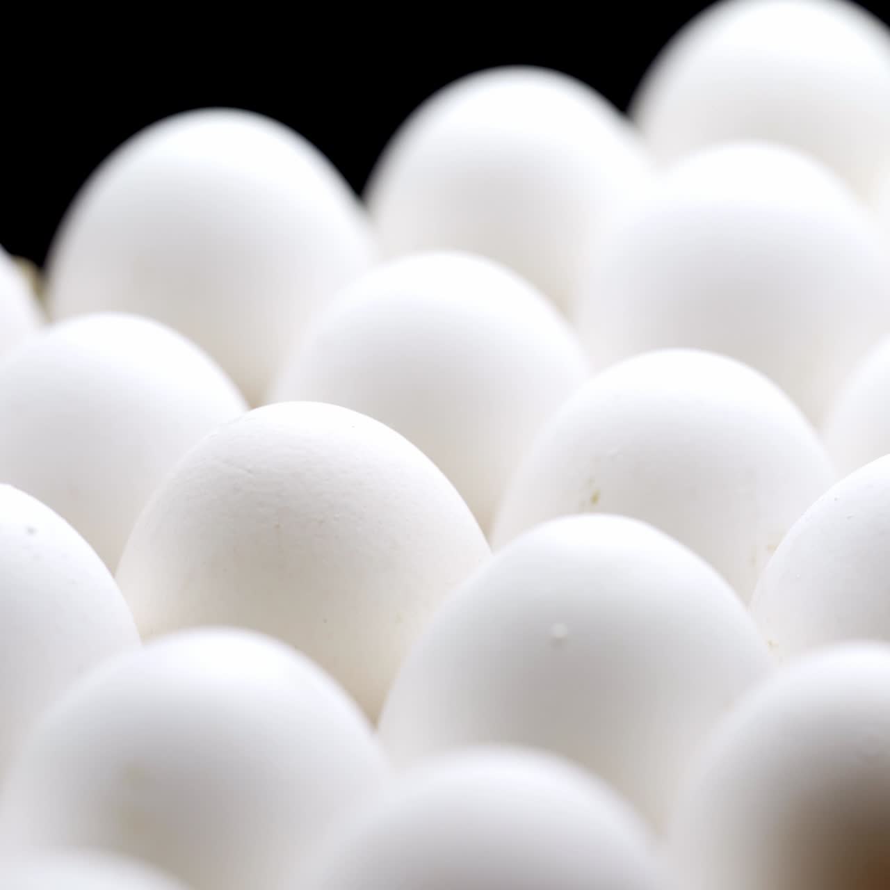 Close-up of packed chicken eggs. White eggs in carton box.