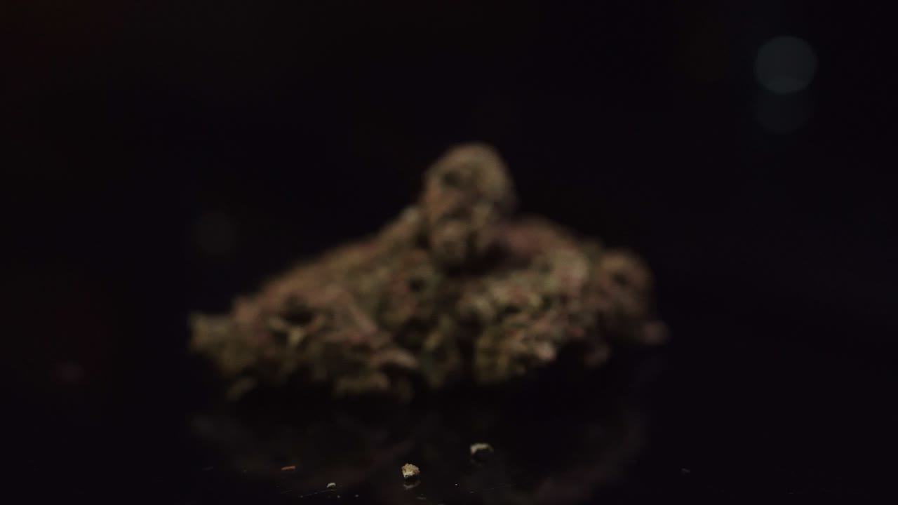Cannabis su sfondo nero con movimento di macchina