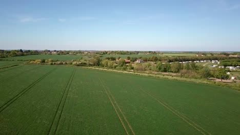 Drohnen-Dolly-Aufnahme-Eines-Unreifen-Weizenfeldes-Mit-Wind,-Der-über-Den-Weizen-Weht