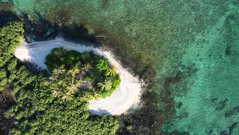 spinning top down aerial view of tropical island, white sand beach and green lush forest