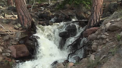 Medium-Shot-Of-A-Montaña-Stream-Flowing-Through-A-Forest