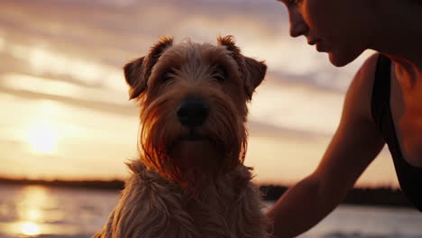 woman and irish terrier enjoying a peaceful sunset on the beach