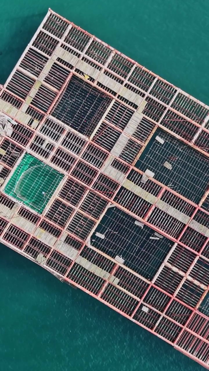 Allevamento di mitili sull'acqua in una zona costiera durante le ore diurne