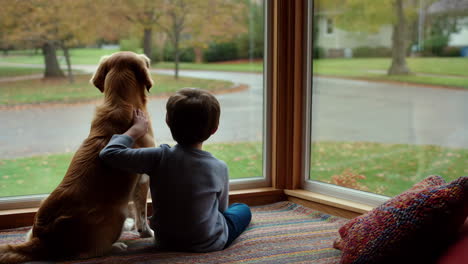 child and dog looking out window together
