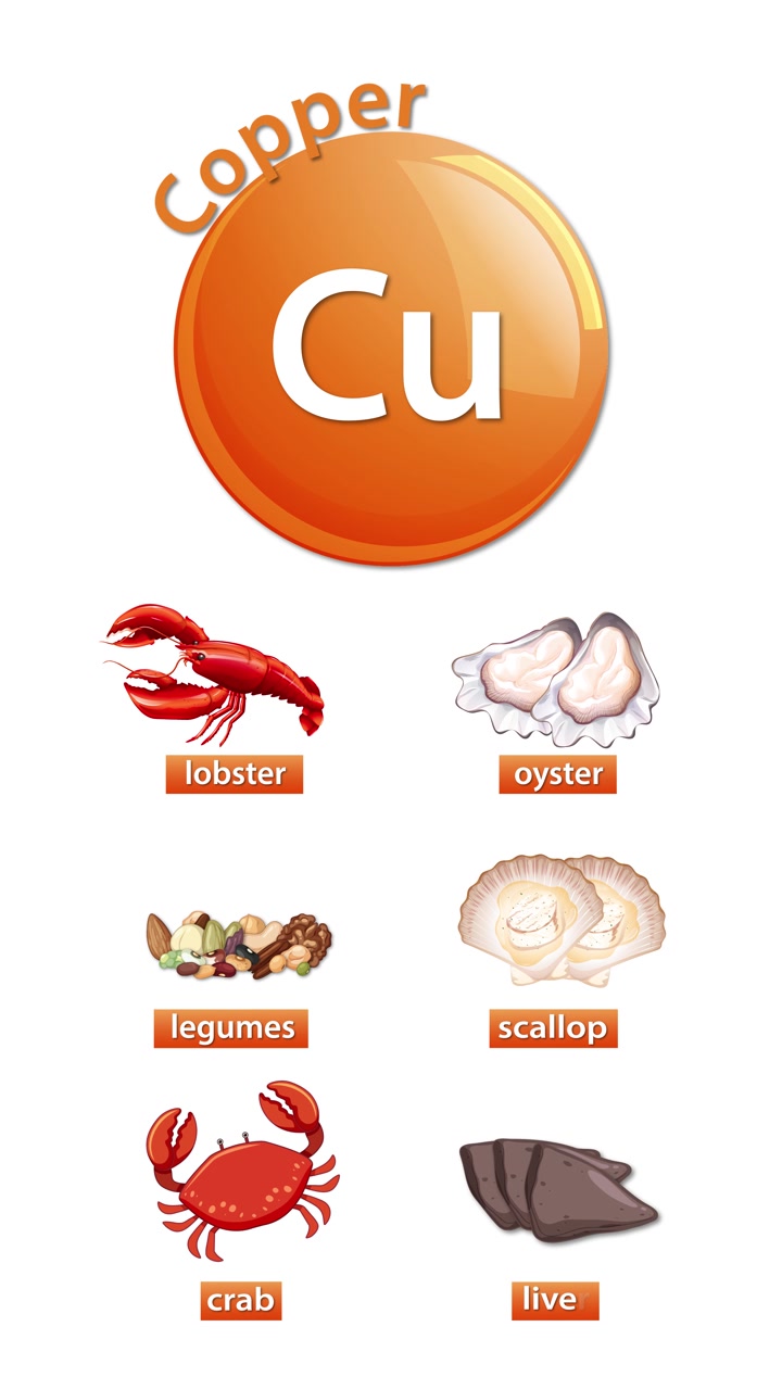 Minimal vertical infographic animation listing copper rich foods with clean icons and smooth transitions
