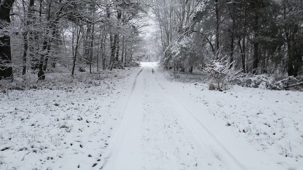 A slow drone flight along a snowy forest road as gentle flakes fall among birch and pine trees coated in fresh white frost