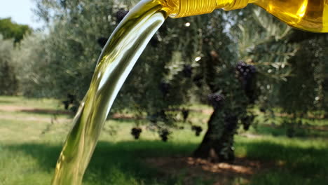pouring olive oil in an olive grove