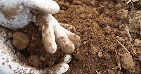 farmer examining soil in hands