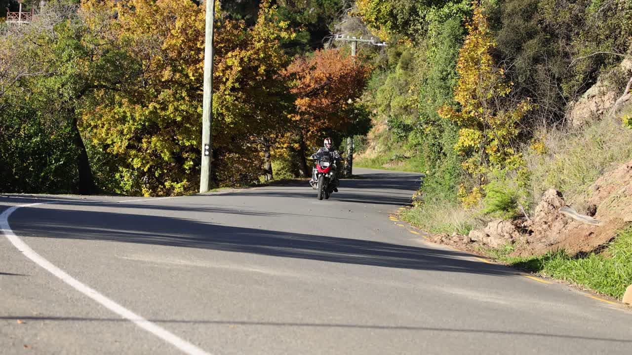 A motorcyclist navigates a winding road surrounded by vibrant autumn foliage in Akaroa, New Zealand