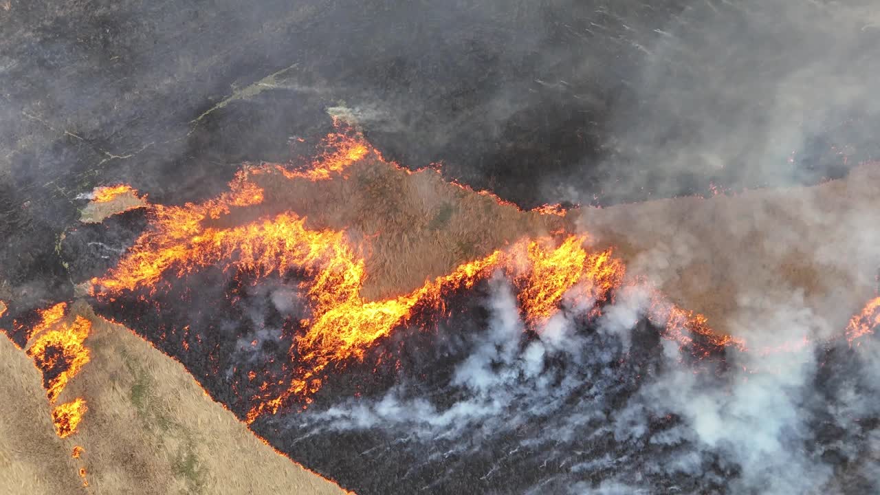 Unreal shot looking straight down at a raging wildfire, out of control and devastating everything in its path so quickly. B-roll representative of Carolina fires.