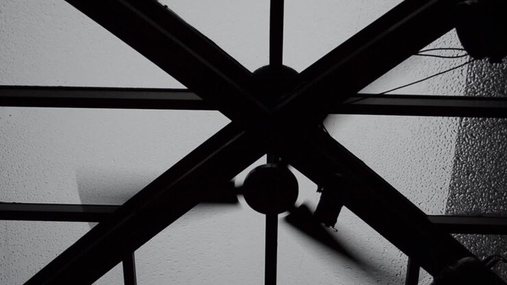 Design of a roof, ceiling and fan. Shooting in the summer, evening