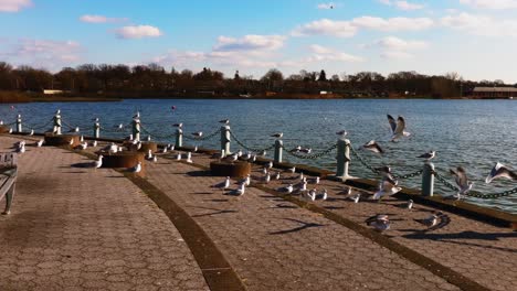 a low angle shot by meadow lake in queens, new york on a sunny day