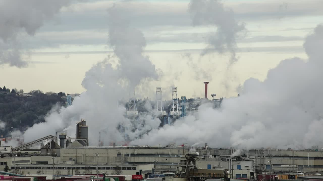 Billowing Steam From Smokestacks of paper mill factory