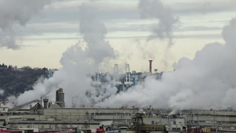 billowing steam from smokestacks of paper mill factory