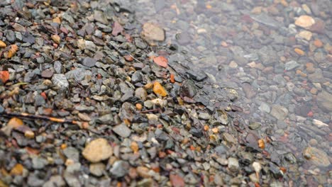 slow motion, close up shot of a rocky lake edge in the winter