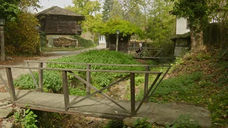 Young-woman-with-guitar-walks-wooden-bridge-rustic-village-scene