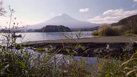 man on boat catching fish close to shore of lake kawaguchiko and mt