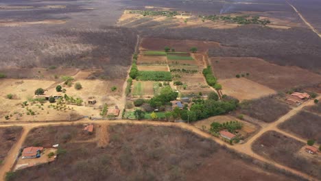 Como-Un-Oasis-En-El-Desierto,-Agricultura-Orgánica-Rentable-En-Sudamérica.