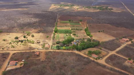 like an oasis in the wilderness, profitable organic farming south america