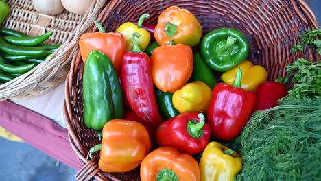 explore una explosión de colores con pimientos de campana cultivados localmente en exhibición y a la venta en el festival de agricultura en los emiratos árabes unidos
