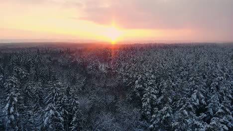 Vista-Aérea-De-Las-Colinas-Del-Bosque-Durante-La-Puesta-De-Sol-De-Invierno.-Las-Copas-De-Los-árboles-Coníferos-Están-Iluminadas-Por-Un-Brillante-Sol-Poniente.