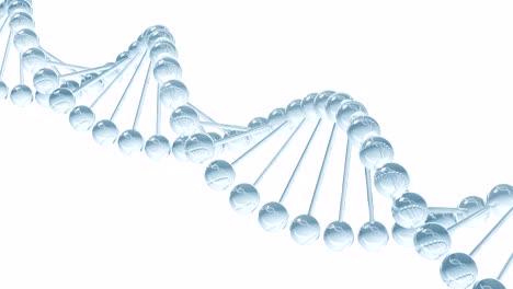 modelo de adn - animación en bucle