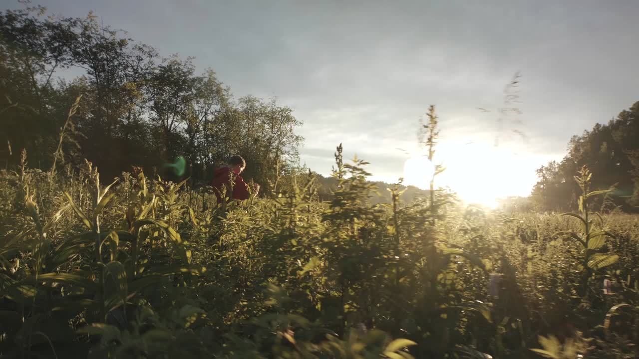 persona caminando por un campo al amanecer