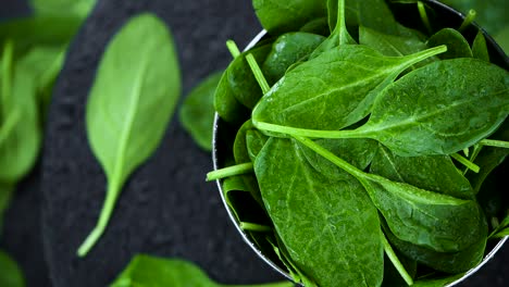 rotating plate with baby spinach (seamless loopable; close-up)